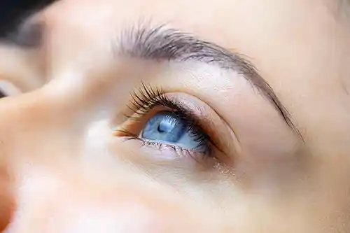 von_lipin_kosmetik_AdobeStock_459893599